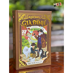 Hình ảnh (Bìa cứng) KHÔNG GIA ĐÌNH (bản dịch mới, đầy đủ) – Hector Malot – Lê Việt Dũng dịch – Đinh Tị Books – NXB Văn học (tái bản năm 2022)