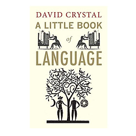 A Little Book of Language