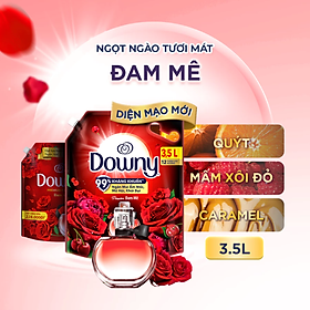 Túi Nước Xả Vải DOWNY Tinh Dầu Thiên Nhiên 3.5L