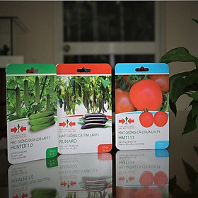 BỘ 3 GÓI HẠT GIỐNG DƯA LEO, CÀ TÍM, CÀ CHUA CỦA EAST-WEST SEED (HAI MŨI TÊN ĐỎ)