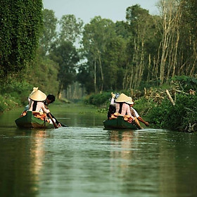 Tour Đồng Tháp - Gáo Giồng 01 Ngày, Khởi Hành Chủ Nhật Hàng Tuần Từ Sài Gòn