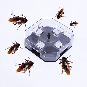 Mua Hộp bẫy gián thông minh không dùng hóa chất - Thiết bị bẫy gián  bắt gián bằng phương pháp vật lý