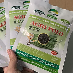 Hạt giống đậu Cove hạt đen cao sản - Agri Polo 117 ( Gói 50gram )