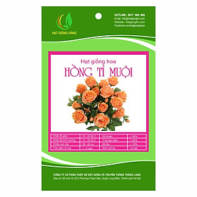 Combo 2 gói Hạt giống hoa Hồng tỉ muội Golden Seeds 10 Hạt