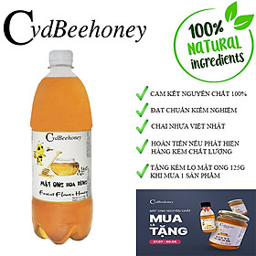 Mật Ong Hoa Rừng 1000ml CvdBeehoney - Forest Flower Honey