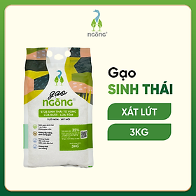 Gạo Ngỗng ST25 Sinh Thái Xát Lứt 3kg (Túi)