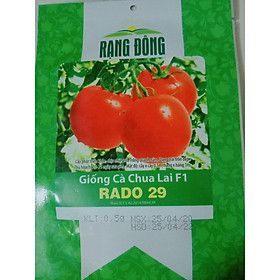 HẠT GIỐNG CÀ CHUA CHỊU NHIỆT RADO 29 - VÕ DÀY, QUẢ TRÒN, CHỊU NHIỆT CỰC TỐT, VỊ CHUA NHẸ, NGON ĂN.