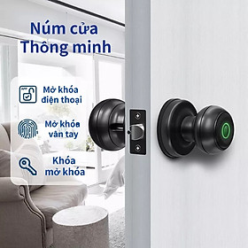 Mua Khóa vân tay thông minh khóa núm knob sử dụng App Tuya