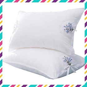 Mua Cặp ruột gối  hương Hoa oải hương Lavender