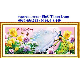 Mua Tranh thêu chữ thập Phú Quý Cát Tường mẫu đơn và 2 con công 88822(chưa thêu)