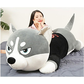 Hình ảnh Gấu bông Chó Husky Siêu To Khổng Lồ - gối ôm chó ngáo size 1m1 - 1m5 - hình thât - video