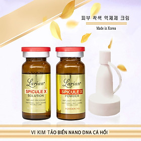 Combo làm đẹp da tại nhà (1 cặp Vi kim tảo biển nano DNA cá hồi, gai biển sinh học Larian+)