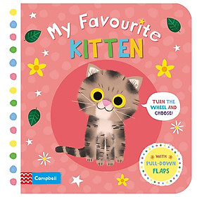 My Favourite Kitten