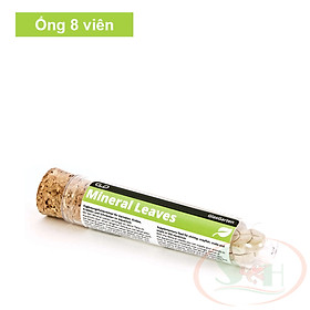 Hình ảnh Thức ăn dặm GlasGarten Mineral Leaves dinh dưỡng khoáng thực vật cho cá tép ốc cảnh