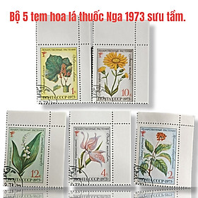 Bộ 5 tem hoa lá thuốc Nga 1973 sưu tầm.