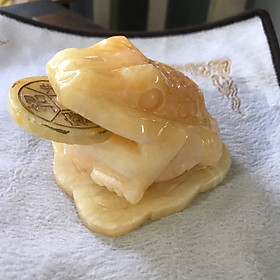 Tượng Con Cóc Vàng Ngậm Tiền Đá Sprentine tự nhiên size nhỏ vừa 11cm x 8cm Cóc bằng đá hợp mệnh Kim Thổ Thủy Anh Chị trưng bàn làm việc bàn thờ Thần Tài công dụng giữ tài ạ