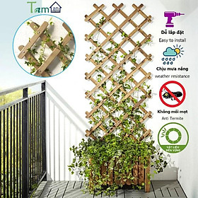 Mua Giàn gỗ hoa hồng leo lưới trồng cây giàn gỗ treo tường trang trí ban công sân vườn xuất khẩu Thụy Điển