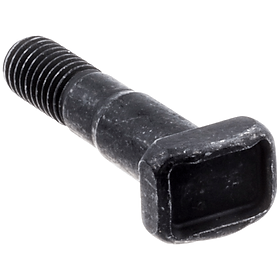 Ốc bắt lam Cưa (1 cái)