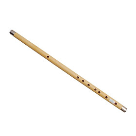 Mua Sáo đô bọc inox