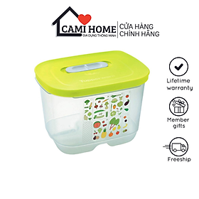 Mua Hộp Ventsmart Tupperware 1.8L  Hộp Trữ Rau Củ Trái Cây  Trữ Mát Có Nút Hô Hấp