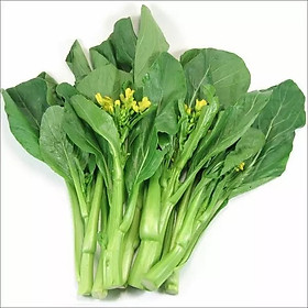 Hạt giống Cải ngọt bông 55