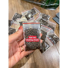 Mua HẠT GIỐNG RAU MUỐNG CHÙM  đóng gói 200 hạt (túi zip)