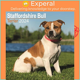 Sách - Staffordshire Bull Terrier Calendar 2024  Square Dog Breed Wall Calendar - 16 Month by  (UK edition, paperback)