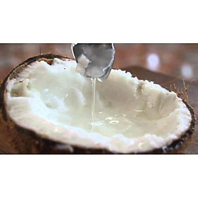 Mua Cây Dừa Sáp