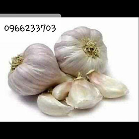Mua 1kg Tỏi khô Quê Kinh Môn - Hải Dương