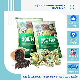 Mua Đất Soil Mix chuyên trồng sen đá xương rồng kích rễ tăng trưởng  Đất chuyên dụng cho sen đá xứ nóng