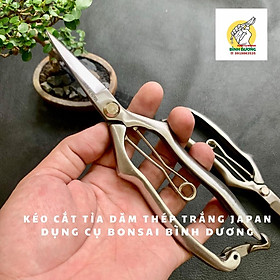 Mua KÉO CẮT TỈA DĂM THÉP TRẮNG ĐÚC JAPAN - KÉO CẮT TỈA DĂM CÂY CẢNH BONSAI JAPAN