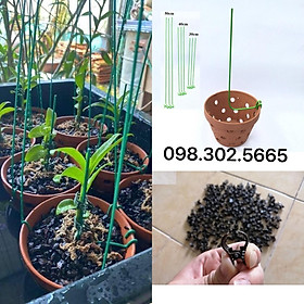 Mua Combo 10 que kẹp chậu và 20 kẹp bướm nhỏ giữ lan (loại chưa uốn độ dài 30cm)