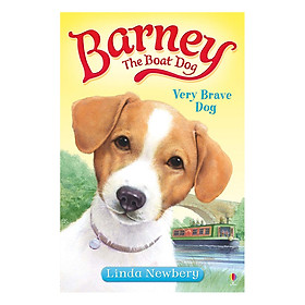 Download sách [Hàng thanh lý miễn đổi trả] Usborne Young Fiction Barney the Boat Dog: Very Brave Dog