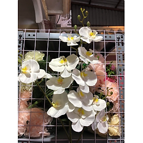Cành hoa Lan hồ điệp giả - 1 cành - 3 nhánh - 12 bông  - dài 100cm - Nhiều loại màu - Cây giả, hoa lụa trang trí nhà cửa
