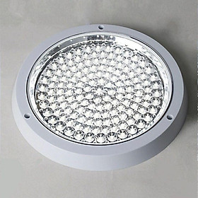 Mua Bóng ốp trần led hạt ánh sáng trắng