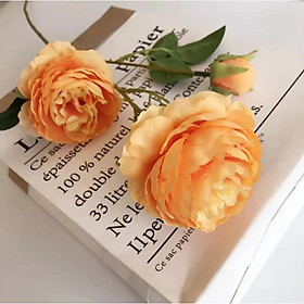Cành Hoa Mẫu Đơn Vải 65cm