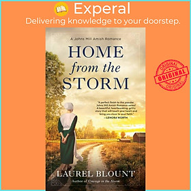 Sách - Home From The Storm by Laurel Blount (UK edition, paperback)