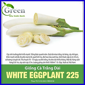 Mua Hạt Giống Cà Trắng Trái Dài