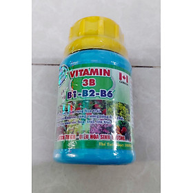 Phân bón lá Vitamin 3B (B1-B2-B6) Canada 100ml