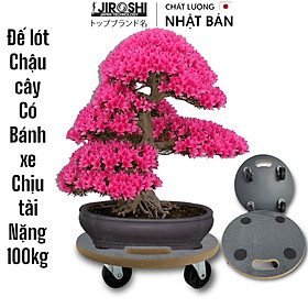 Đế lót chậu cây có bánh xe tải nặng 120kg Jiroshi, size 380