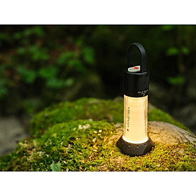 Mua Đèn pin mini treo lều Ledlenser ML6 WARMLIGHT