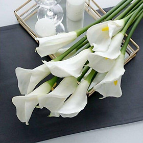 Mua Cành Hoa Rum Cao Su Cao Cấp 70cm - Hoa giả trang trí nội thất  nhà cửa
