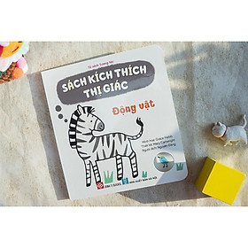 Sách - Kích Thích Thị Giác - Đen Trắng Và Màu Sắc Tương Phản Cho Bé 0 -3 Tuổi - Đinh Tị Books