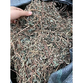 Mua Cây bọ mắm ( cây dòi ) 1kg