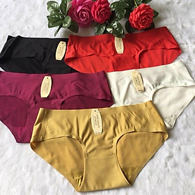 Combo 5 10 Quần lót su đúc không viền THÔNG HƠI loại 1