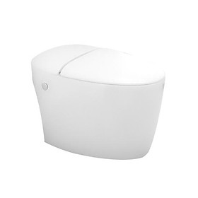 Mua Bồn cầu bán điện tử ECOD EBE126