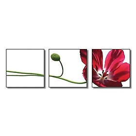 Mua Tranh bộ ghéo trang trí tường  tranh gỗ MDF giá rẻ