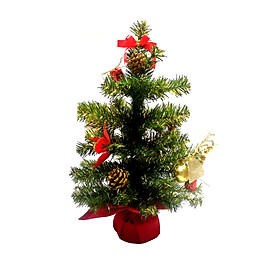 Mua Cây Thông Noel Mini Để Bàn Màu Xanh Phối Hợp Màu Vàng Cao 40cm - 60cm - Trang Trí Lễ Giáng Sinh Tặng Kèm Bọc Cần Số Monter Màu Ngẫu Nhiên - 40cm