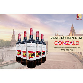 Mua Rượu vang Tây Ban Nha Gonzalo