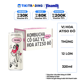 Thùng 12 lon Kombucha Có Gaz Vị Hoa Atiso Đỏ HAYĐẤY 320ml